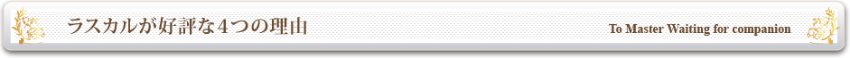 ラスカルが好評な４つの理由